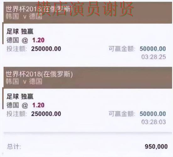世界杯高清直播来临,世界杯投注入口访问方式+直播与平台选择揭秘 世界杯高清直播来临,世界杯投注入口访问方式+直播与平台选择揭秘